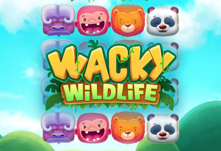 Wacky Wildlife - Onetouch slot at Casoola Casino Casino